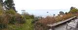 coast_20191114_103656500.jpg