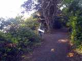 coast_20191115_113218308.jpg
