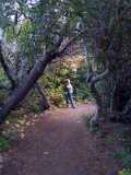 coast_20191115_115324576.jpg