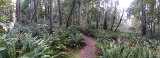 coast_20191117_110936381.jpg
