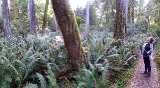 coast_20191117_111137779.jpg